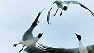 41t3GUIwC0L._SX195_