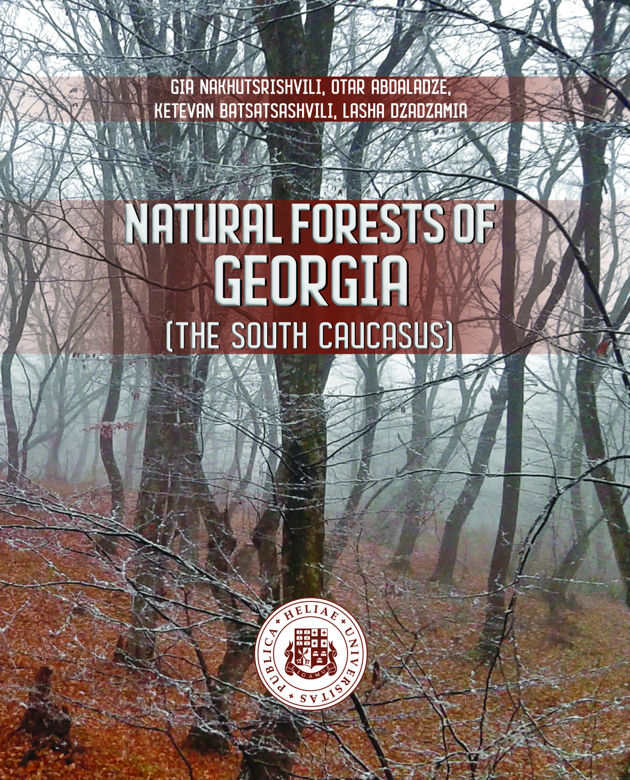 Saqartvelos Tyeebi_Cover (KArt.)